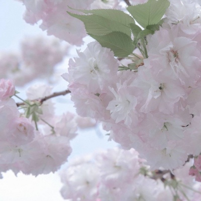 Furry插画构图灵感兽圈群